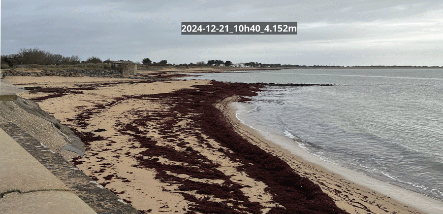Image animée des contributions pour la Plage des Homardiers